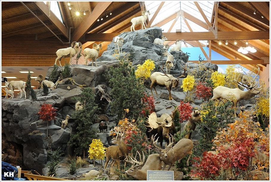 Cabelas01