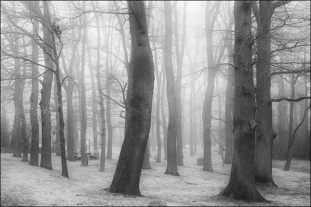 Diesig (1 von 1)-Bearbeitet.jpg