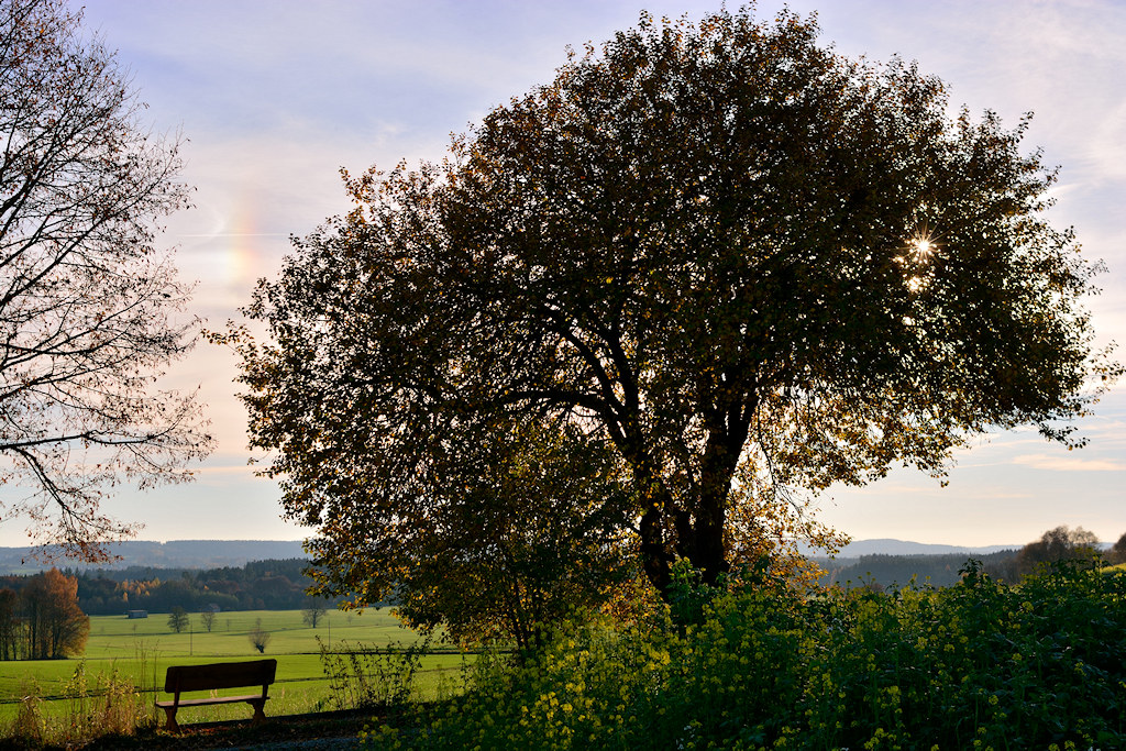 DSC_8919