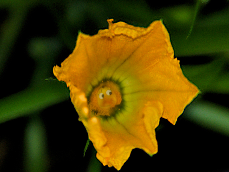 DSC_9138t