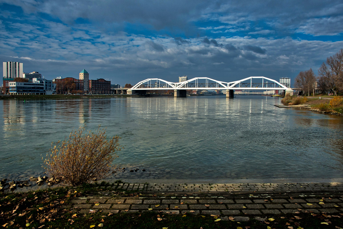 Eisenbahn-Bogenbrücke Mannheim-Ludwigshafen.jpg