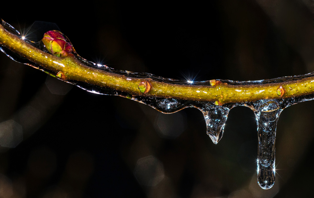 eisregen_mannheim.jpg