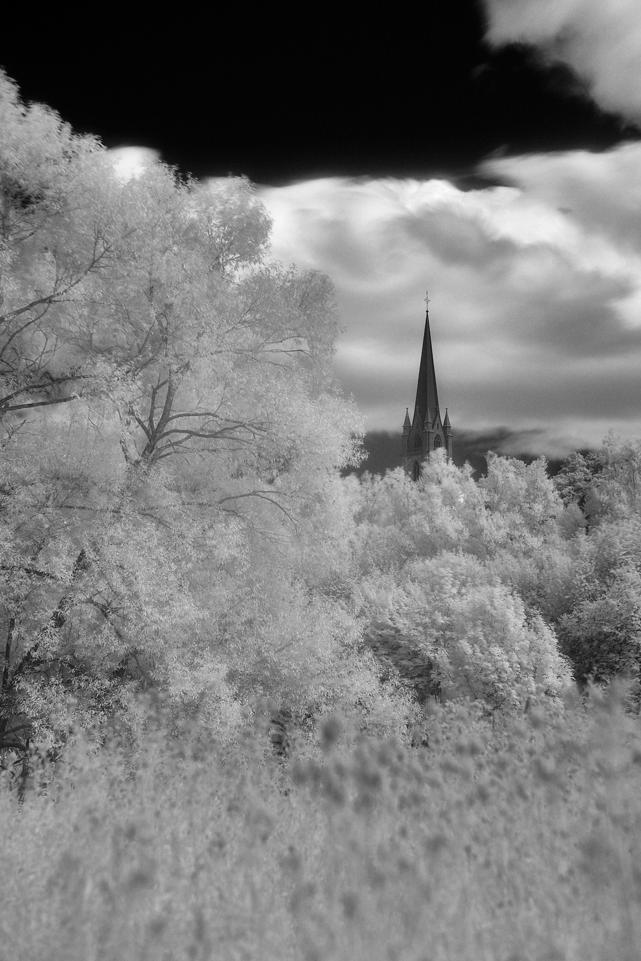 Frankenberg. Infrared.