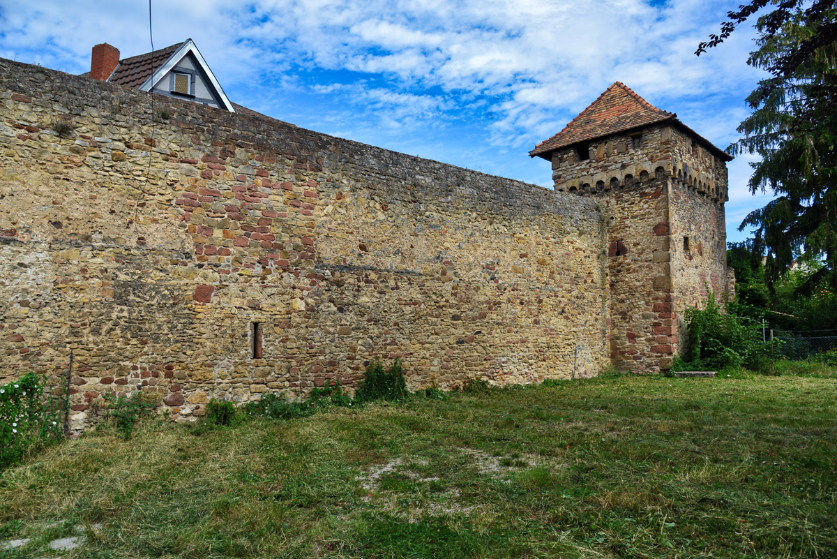 freinsheim_stadtmauer.jpg