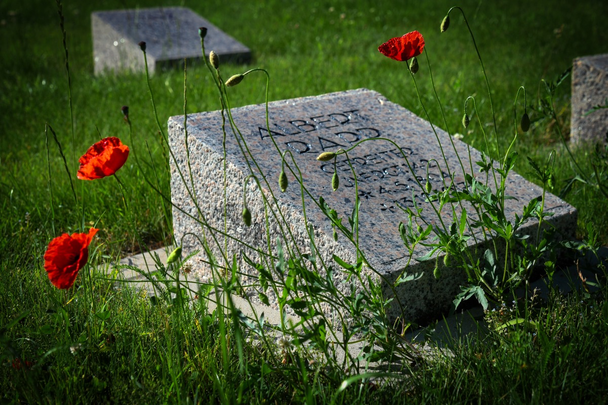friedhof_soldat.jpg