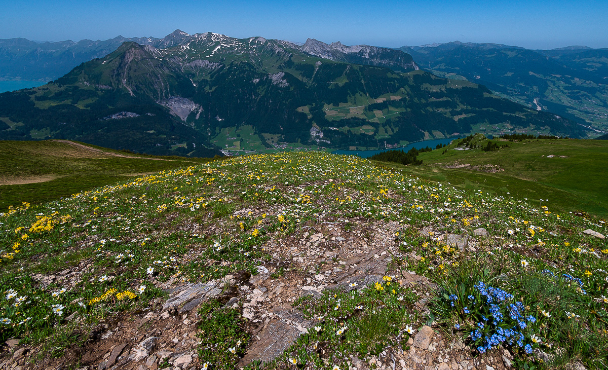 Giswil-Engelberg-Melchsee--Frutt-3544.jpg