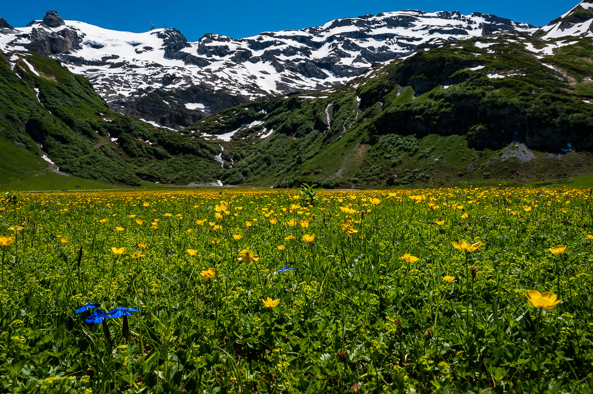 Giswil-Engelberg-Melchsee--Frutt-3591.jpg