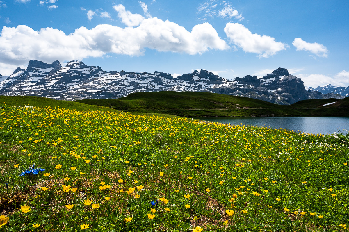 Giswil-Engelberg-Melchsee--Frutt-3637.jpg