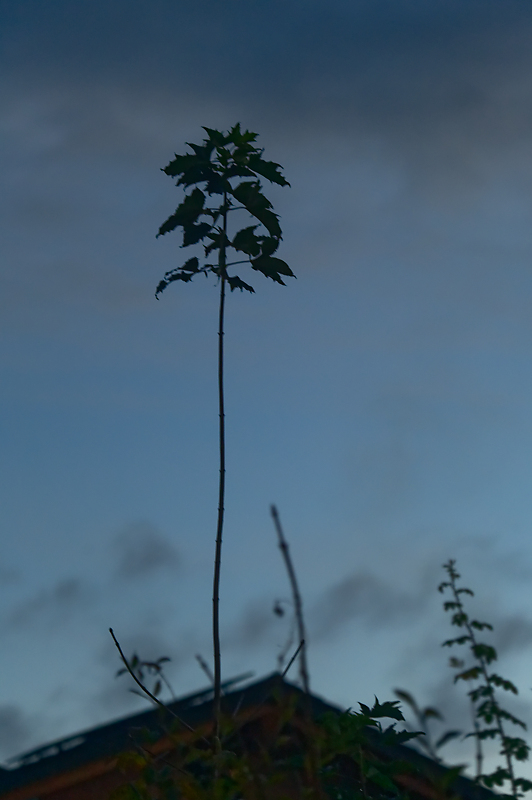 Groß und klein (4).jpg