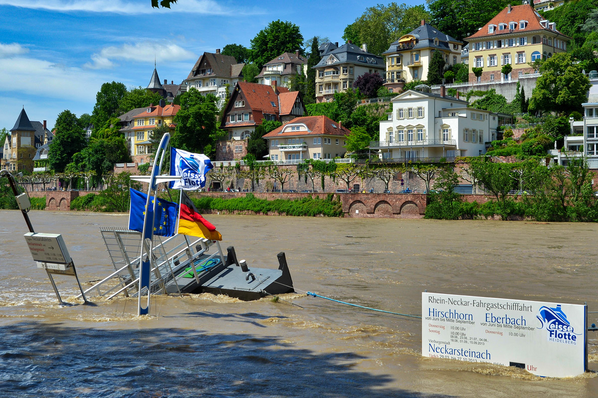 heidelberg_neckar.jpg