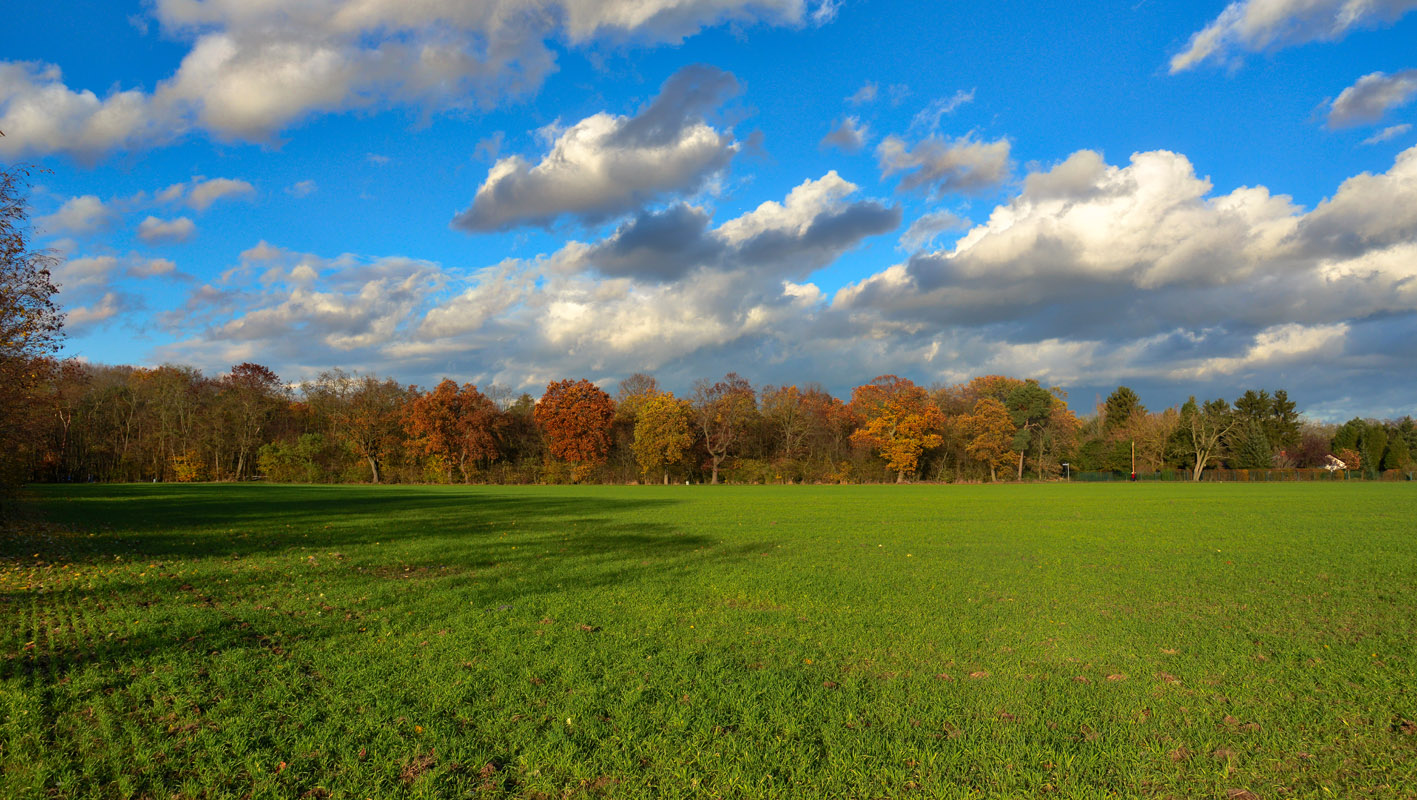 herbst_800.jpg