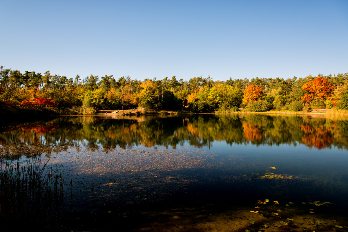 herbst_am_see_1200.jpg