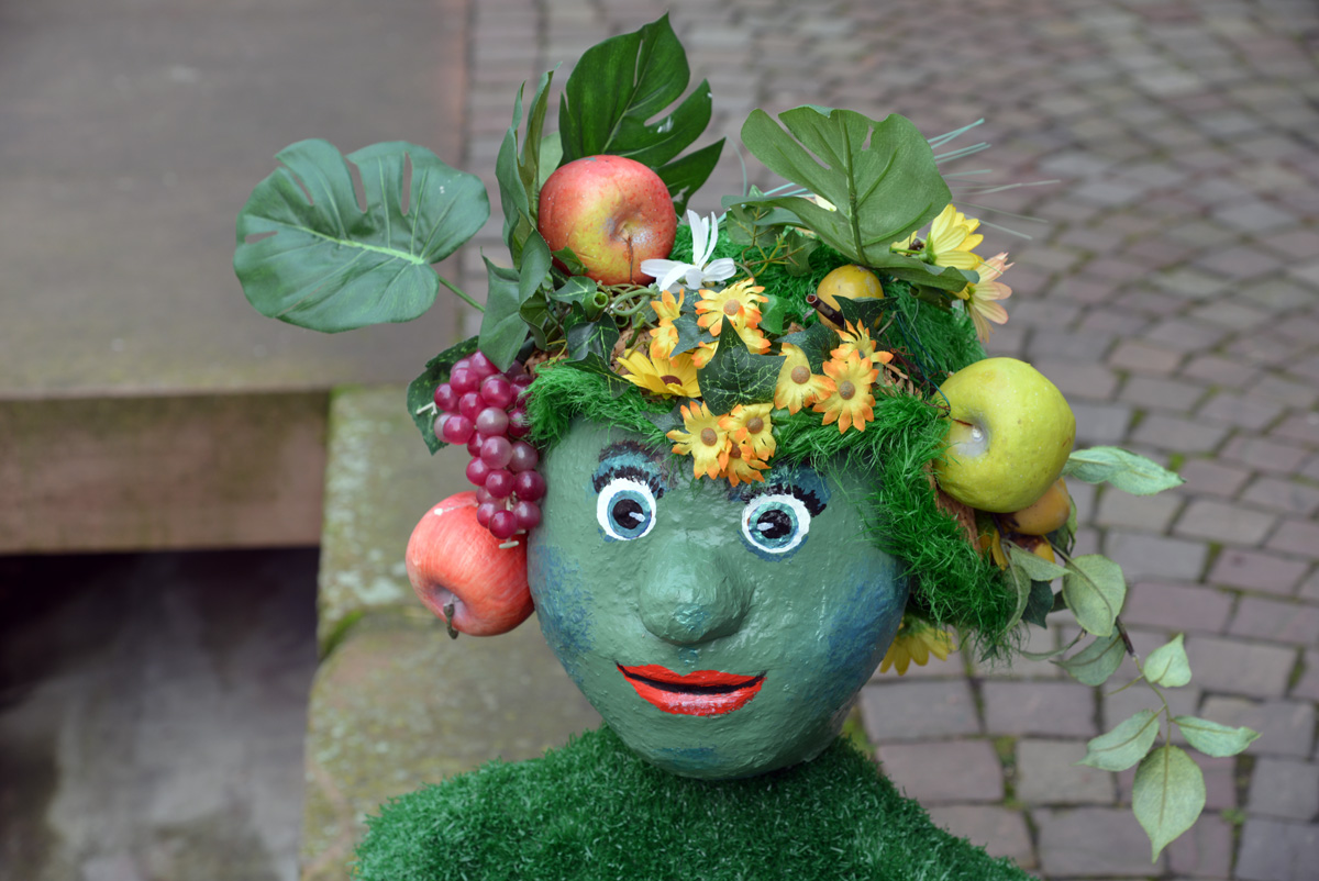herbst_früchte.jpg