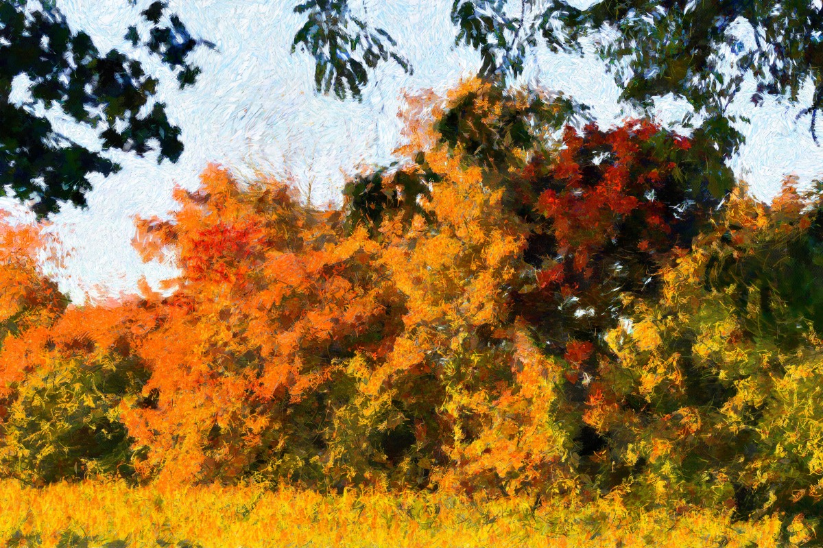 herbst_gemählte.jpg