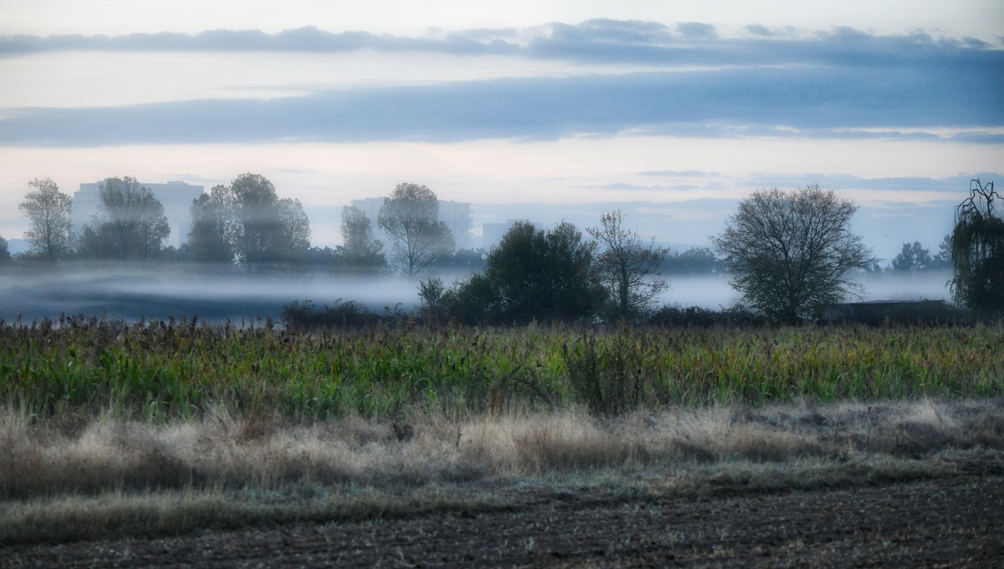herbst_nebel.jpg
