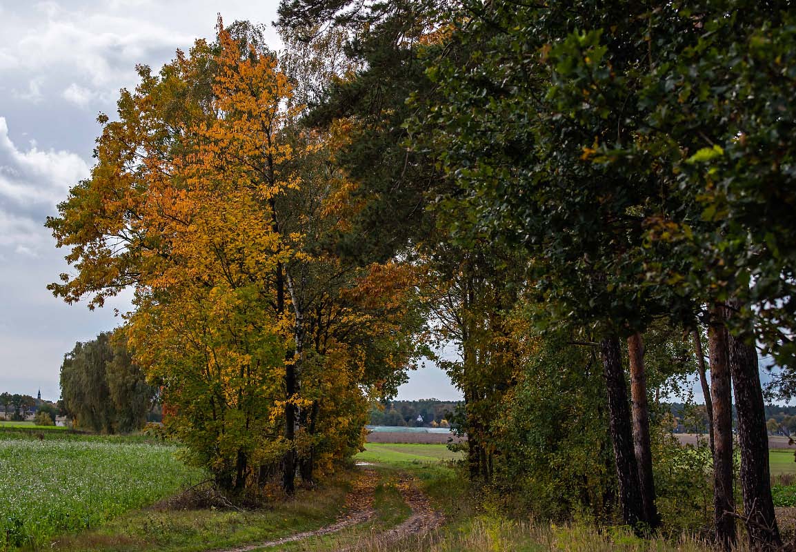 Herbstweg.jpg