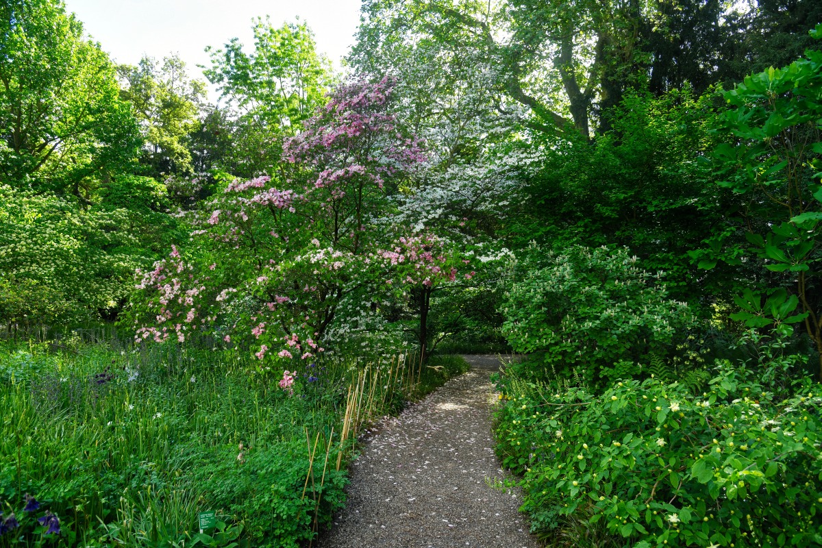 hermannshof_02.jpg
