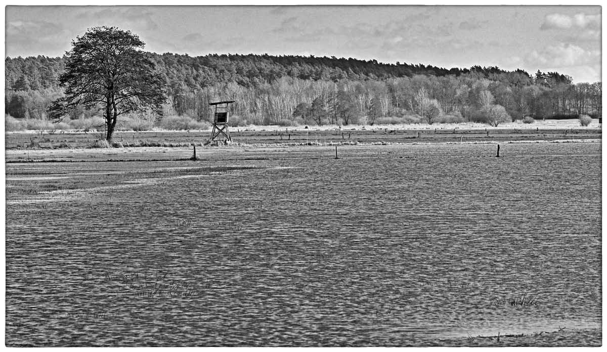 Hochsitz am Wasser_BW.jpg