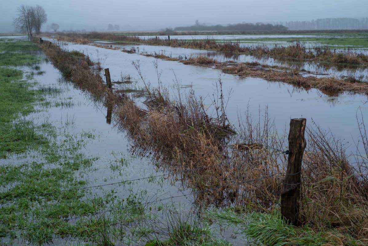 Hochwasser Seewiesen  6.jpg