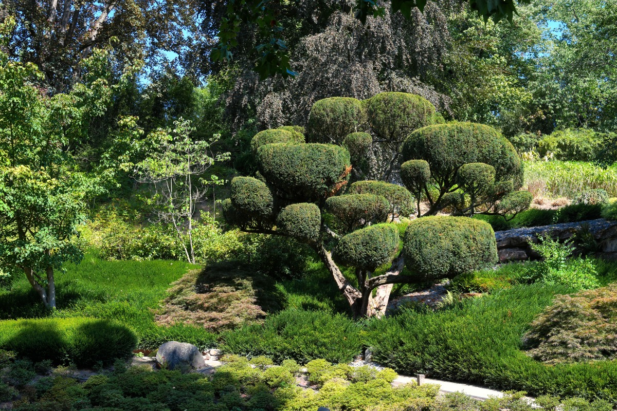 japanischer_garten_02.jpg
