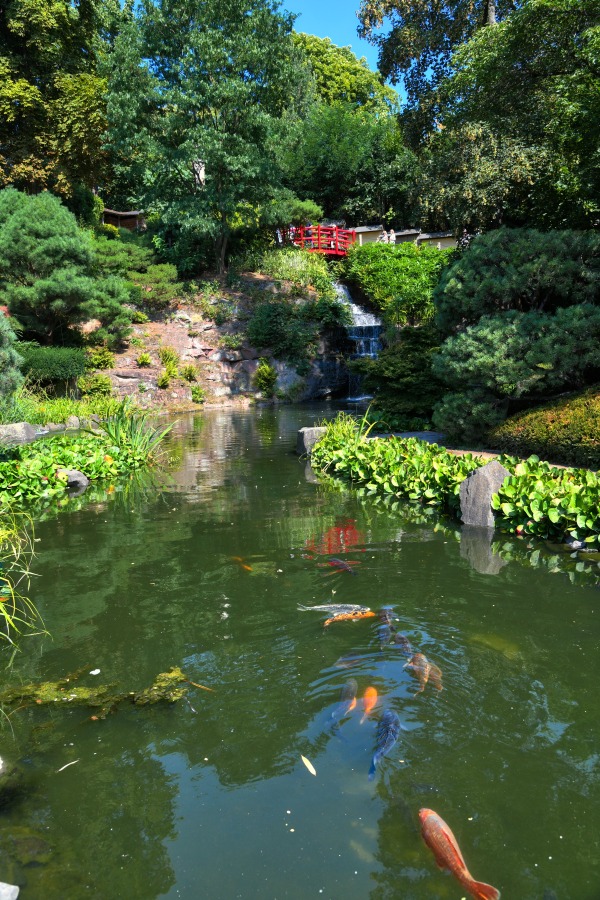 japanischer_garten_05.jpg