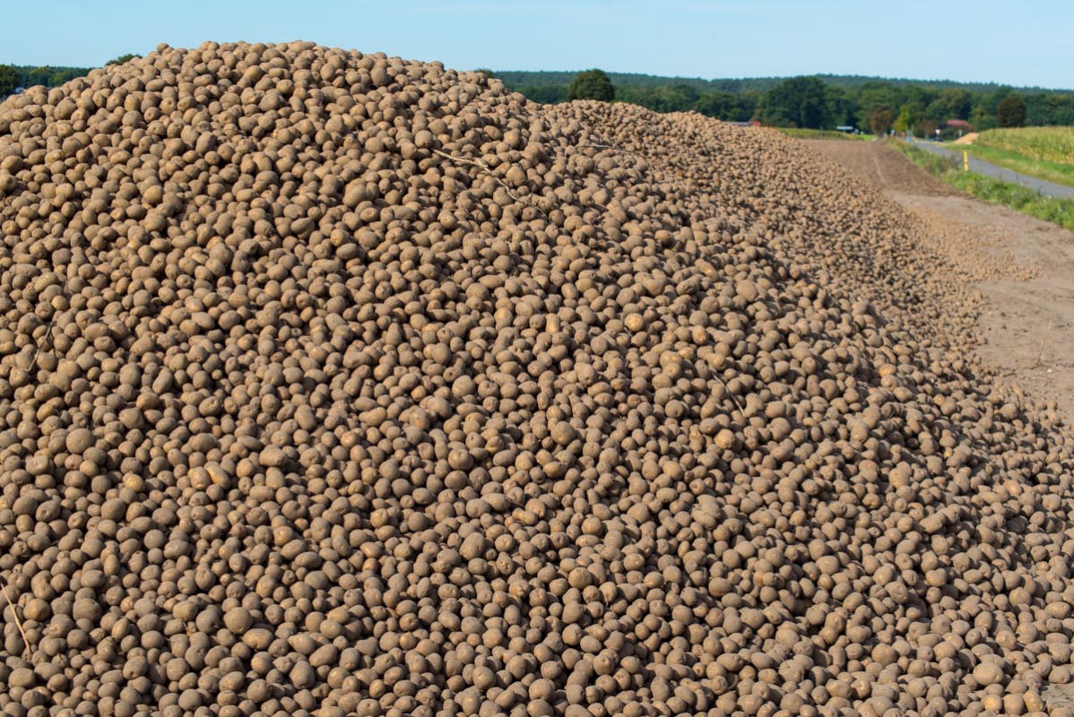 Kartoffelberg-0205.jpg