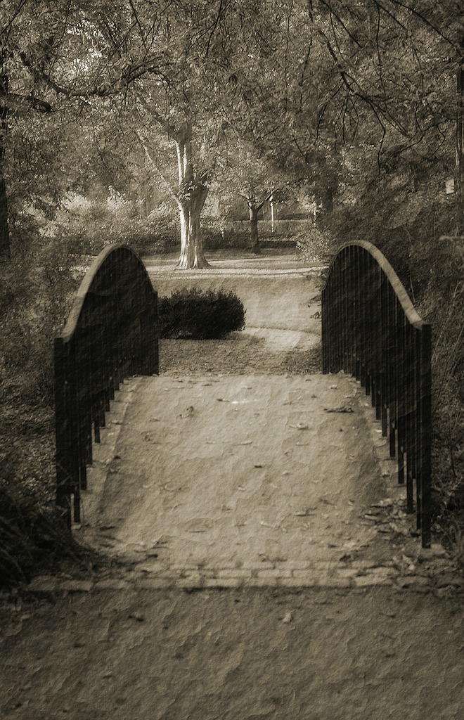 KR_1DSC_2645_3141 NF-F