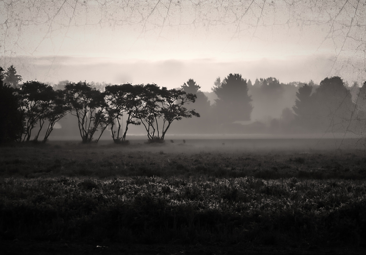 landschaft_malerisch_1202.jpg