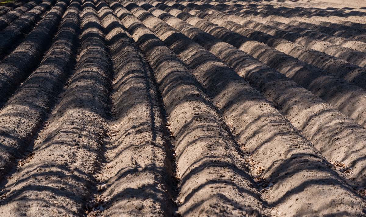 Licht und Schatten (1 von 1).jpg