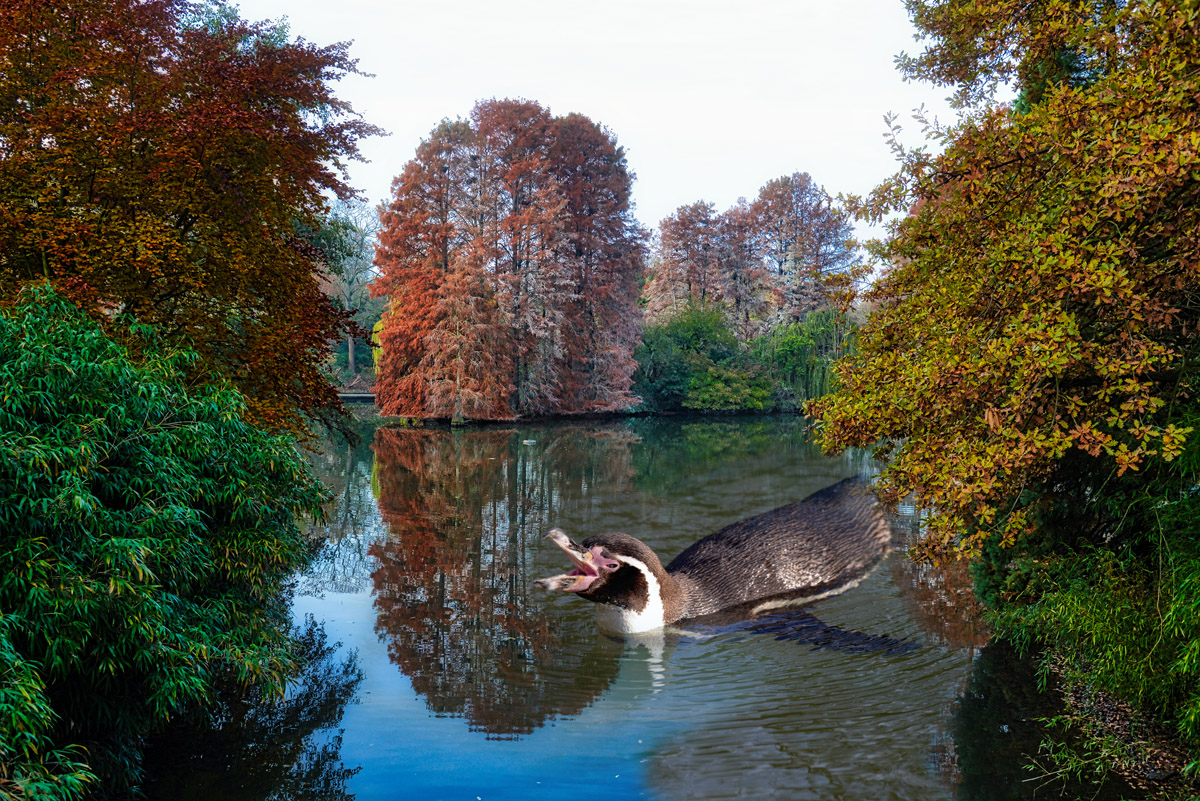 luisenpark_1200.jpg