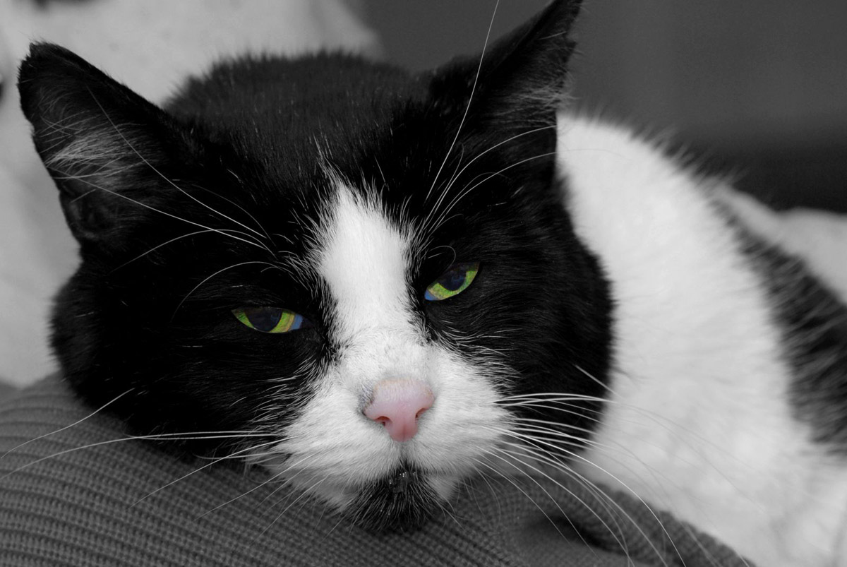 moglie_1200.jpg