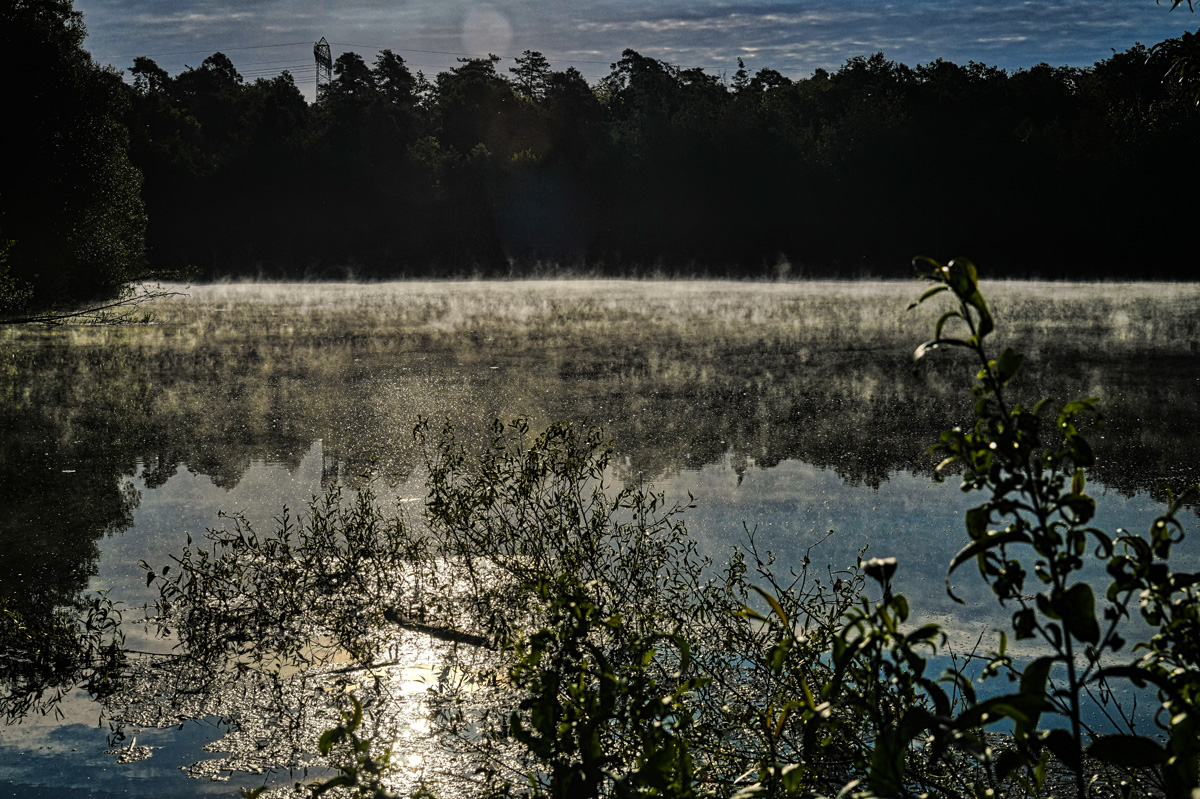 morgens_am_see.jpg
