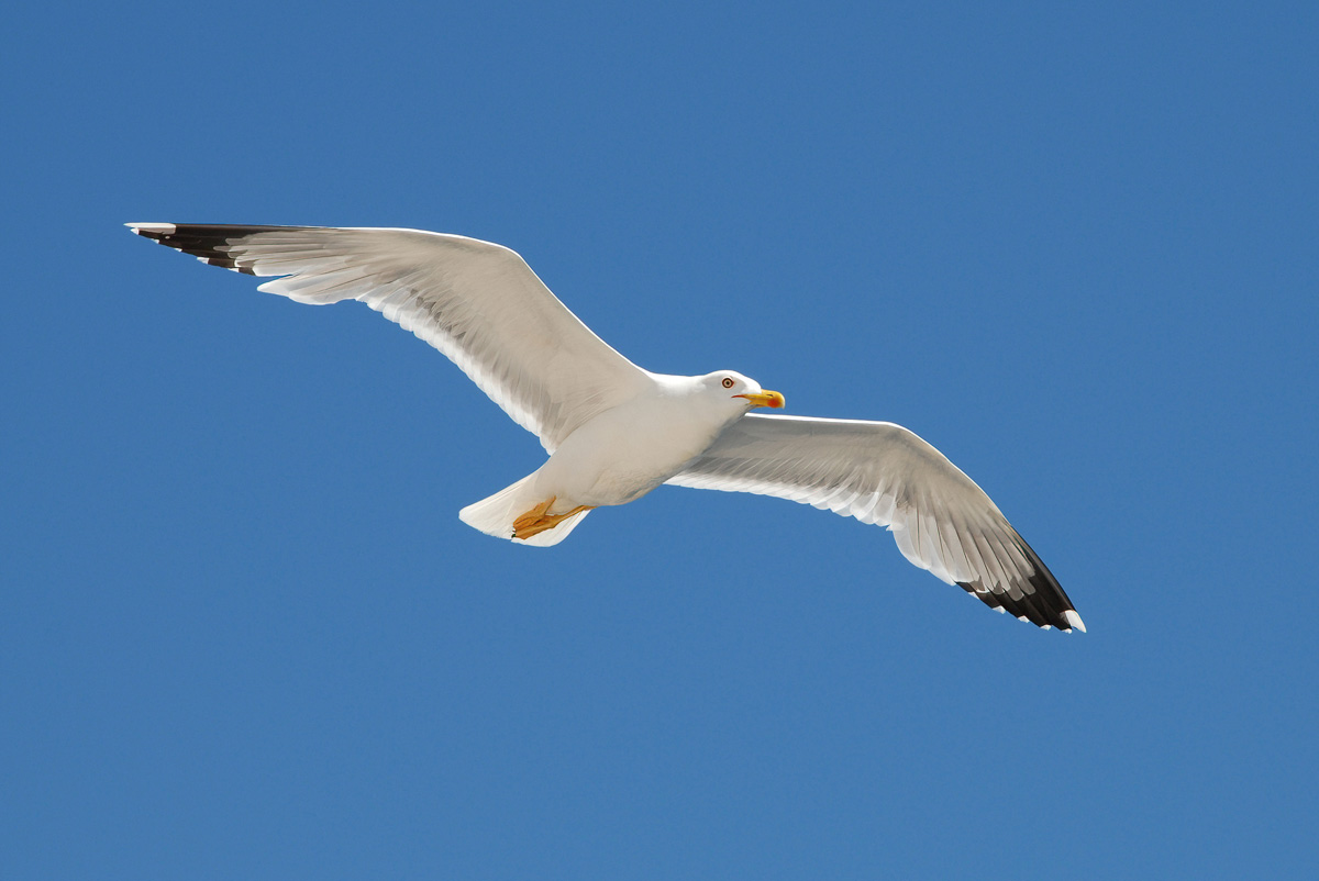 move_im_flug_1200.jpg