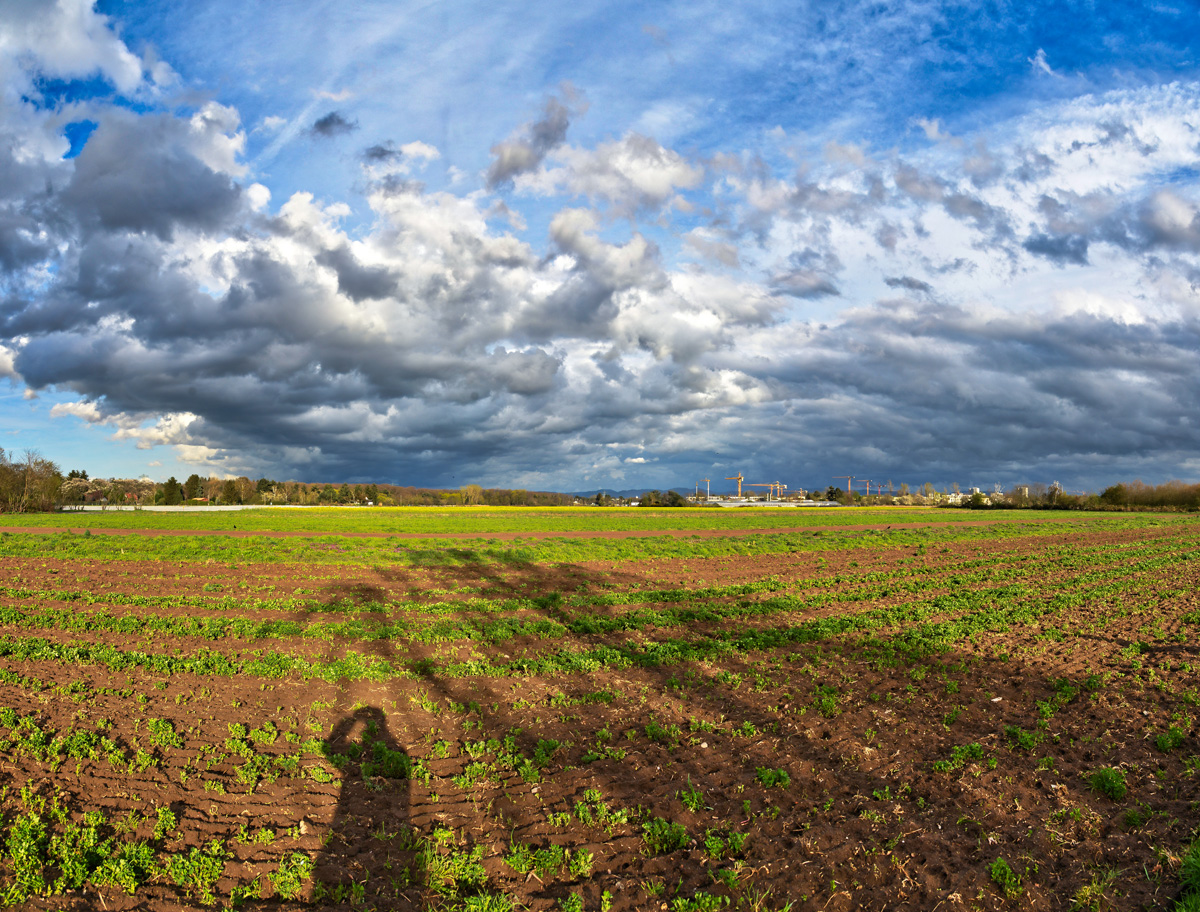 nach_dem_sturm_panorama_1200.jpg
