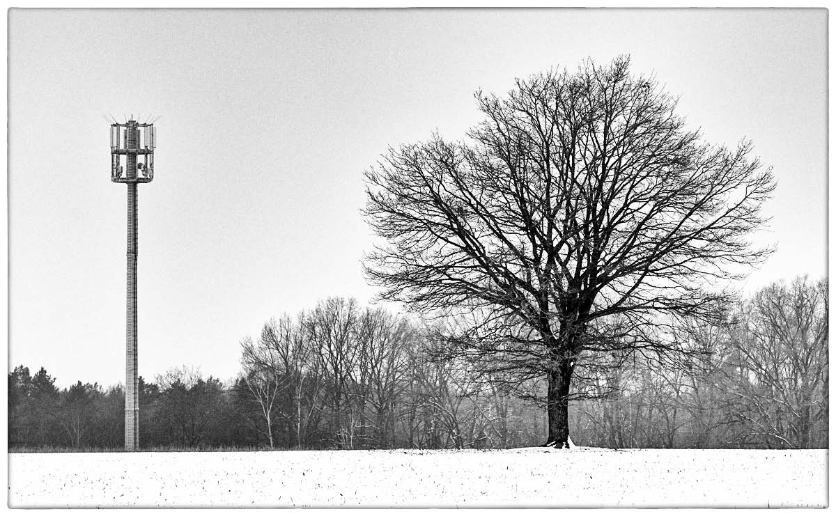 Natur und Technik_BW.jpg