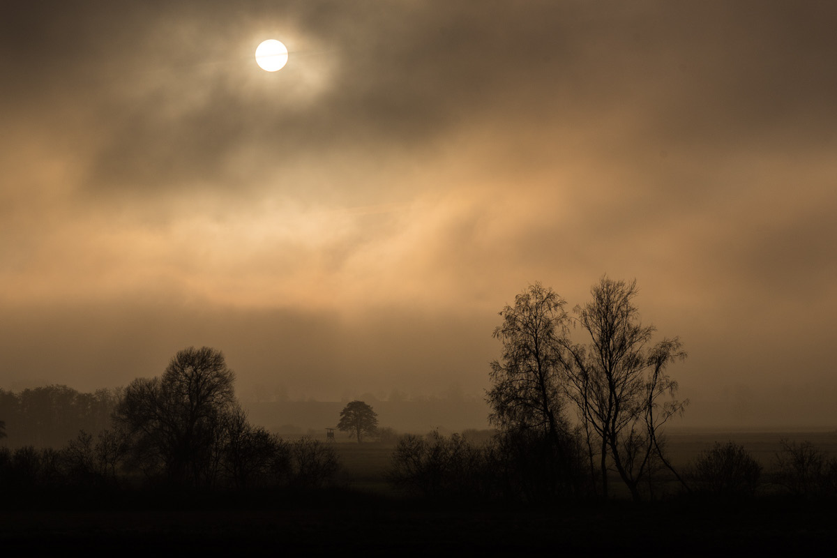 Nebel über den Seewiesen (1 von 1).jpg