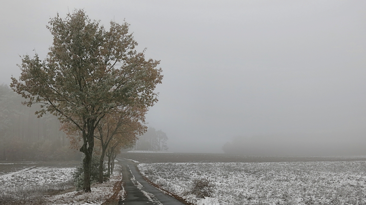 Nebel -Winter- Morgen.jpg