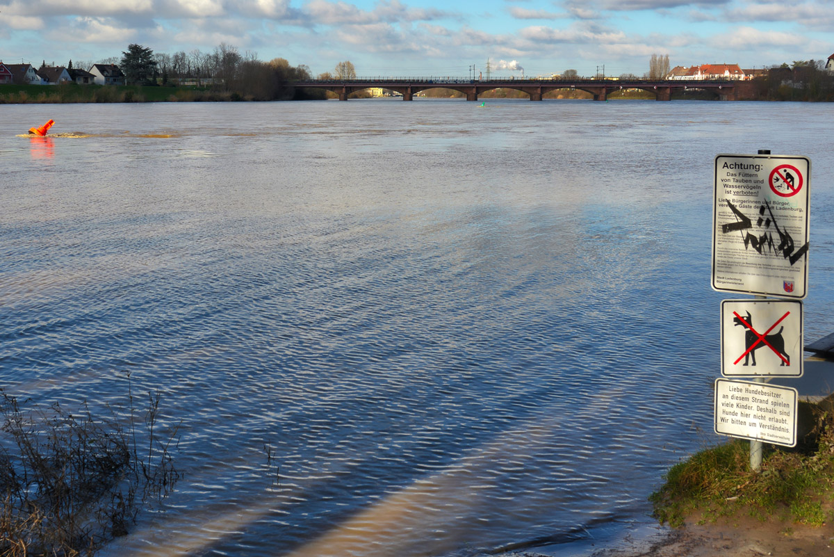 neckar_ladenburg.jpg