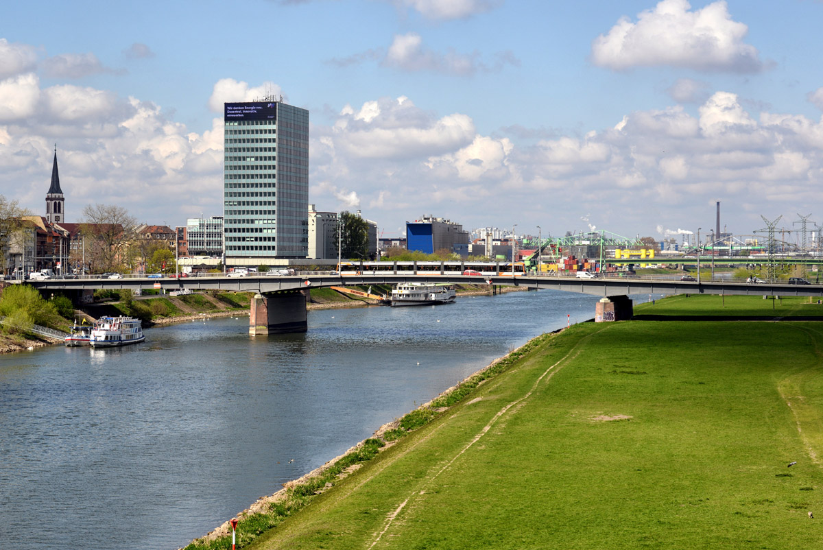 neckarwiese_mannheim_1200.jpg