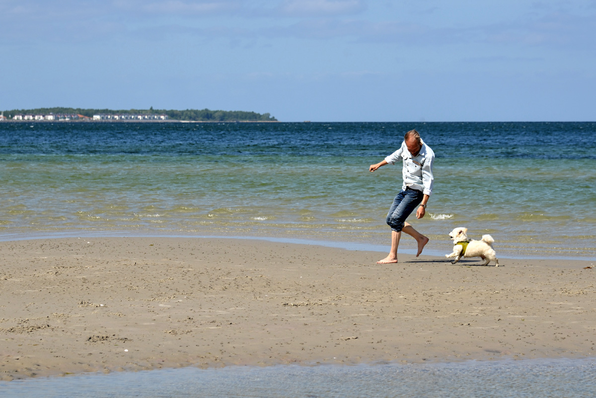 ostsee_mit_hund.jpg