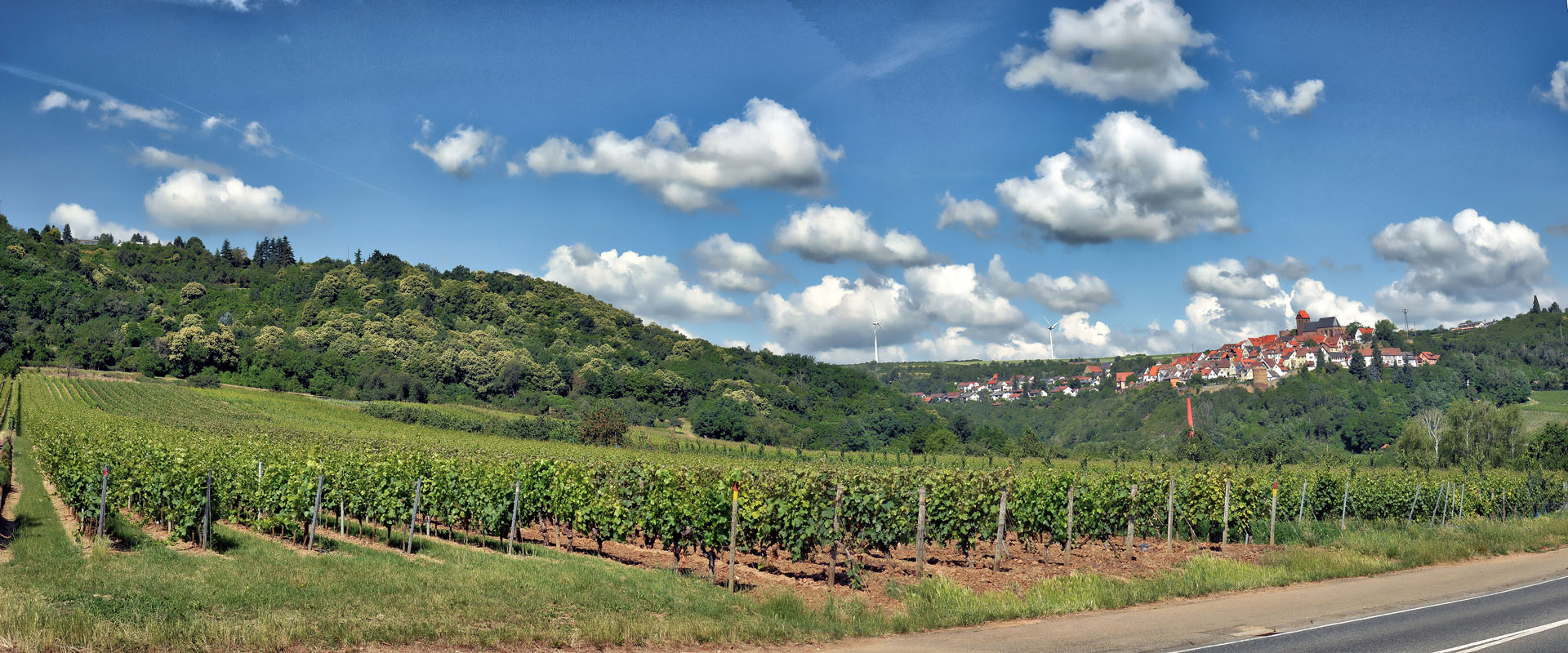 Panorama_neu_leiningen_800.jpg