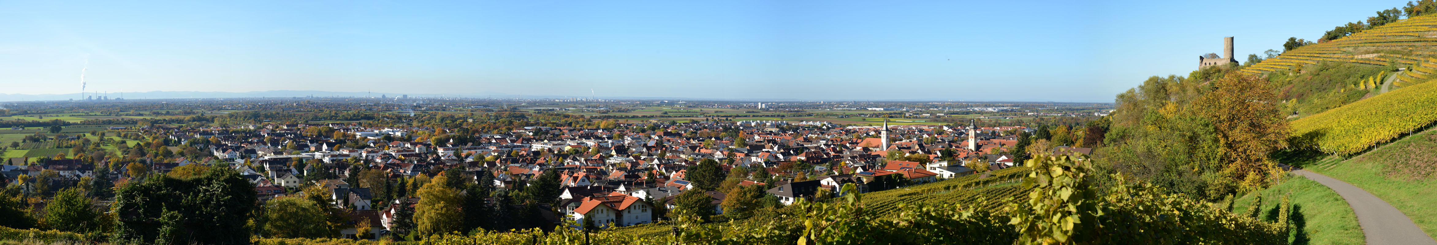 panorama_schriesheim_800.jpg