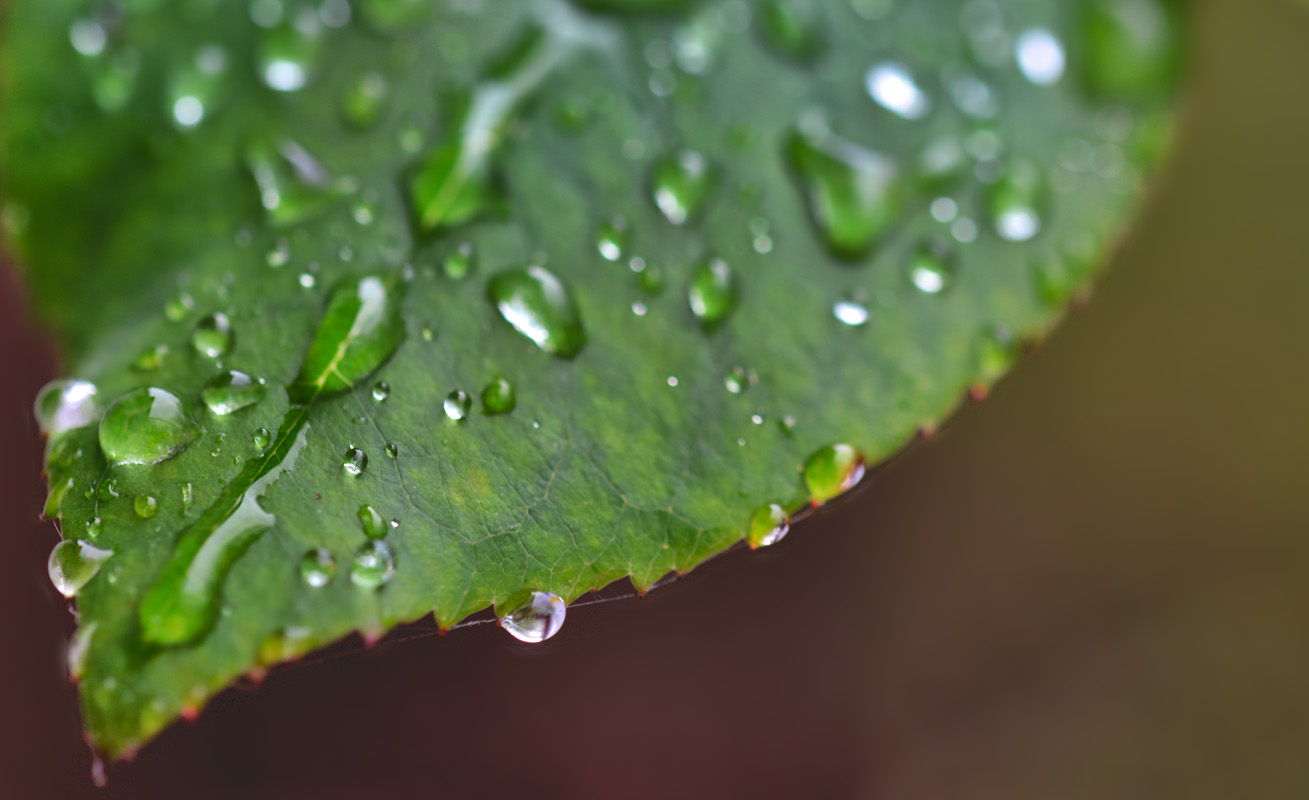 Rainy Day lovers don't hide love inside they just pass it on.jpg