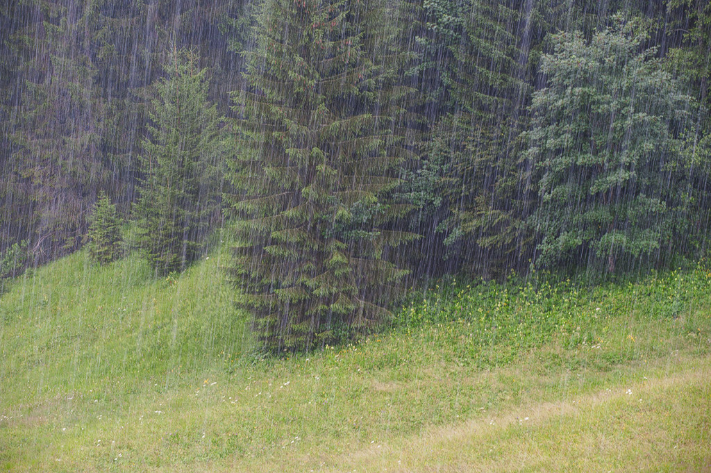 Regen im Gauertal