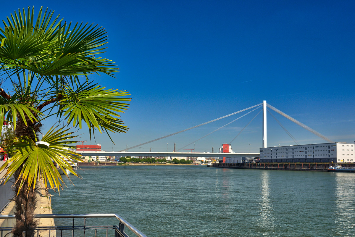 rhein_mannheim.jpg