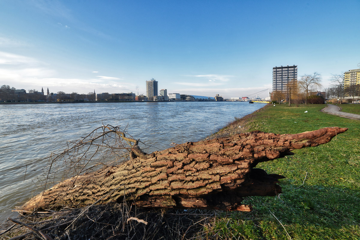 rhein_mannheim_ludwigshafen.jpg