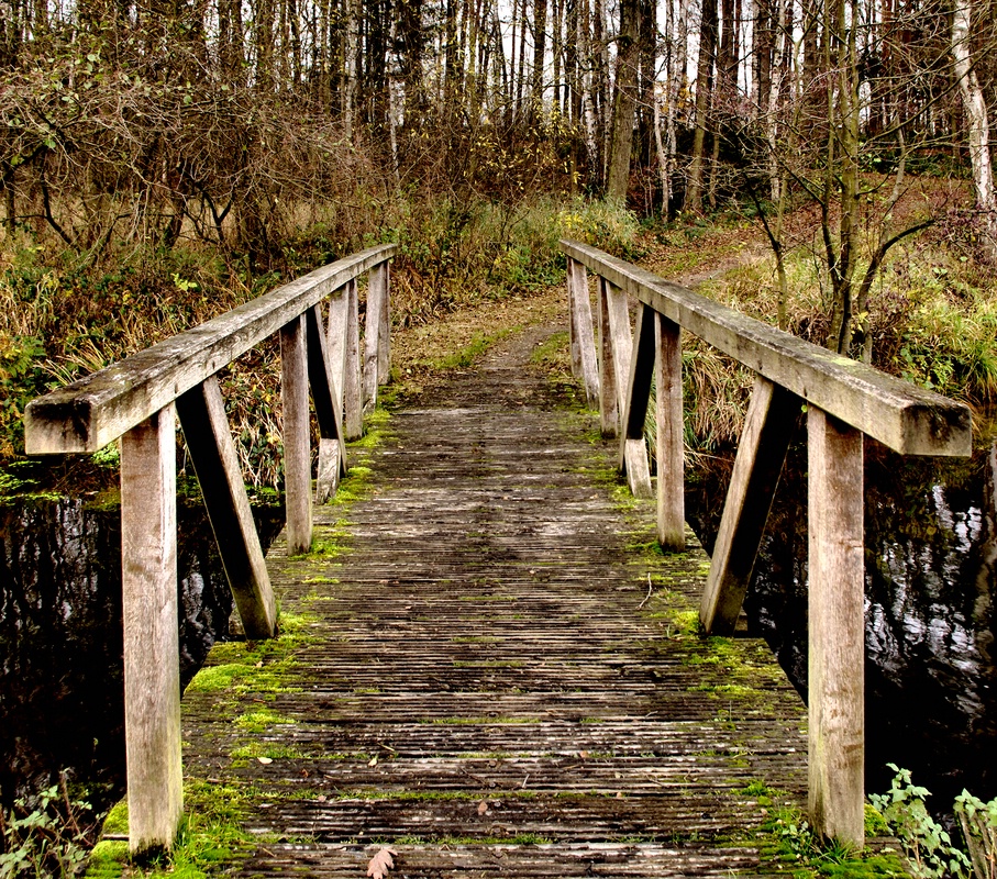 Rundweg am Hardausee (Stausee)..jpg