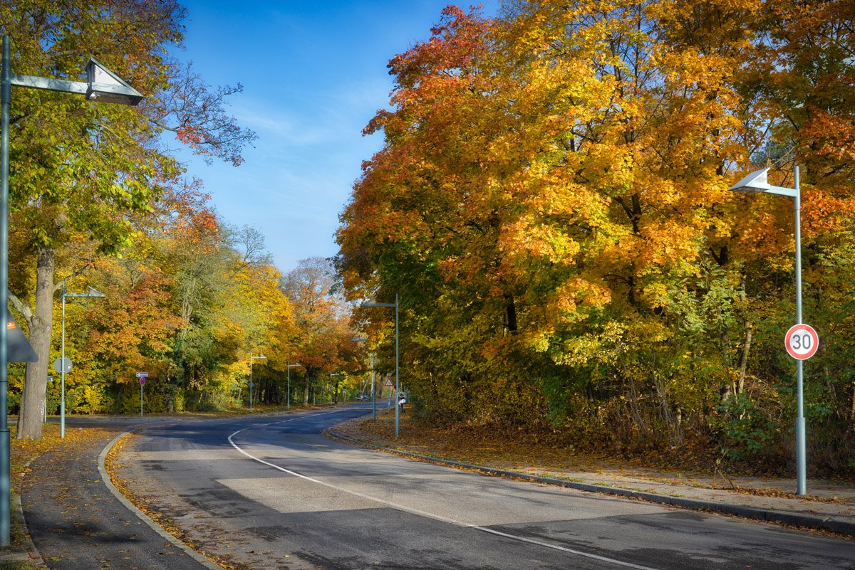 schöner_herbst.jpg