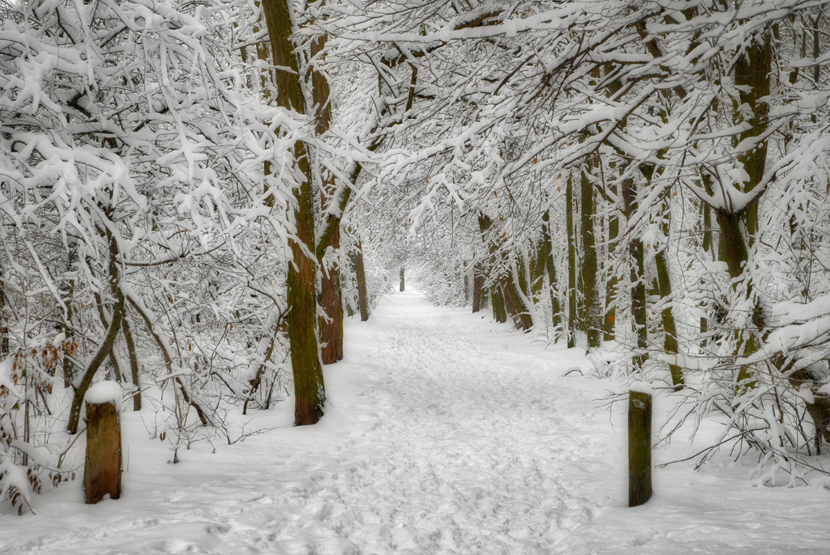 schneezauber.jpg