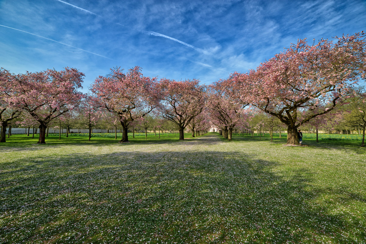 schwetzingerschlosspark_1200.jpg